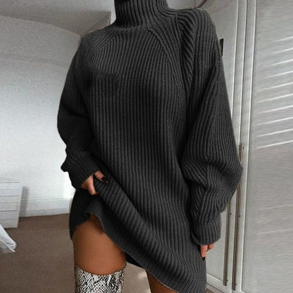 Turtleneck Long Sweater Dress